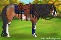 Horse Color:Bay Sabino Rabicano 