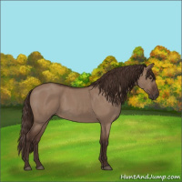 Horse Color:Liver Red Dun Roan 