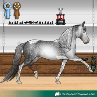 Horse Color:Gray Liver Chestnut Tobiano