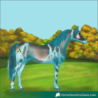 Horse Color:Thunderstruck Blue Onyx Mushroom 
