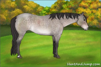 Horse Color:Platinum Buckskin Roan 