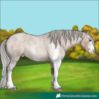 Horse Color:Silver Brown Roan Dun Sabino 