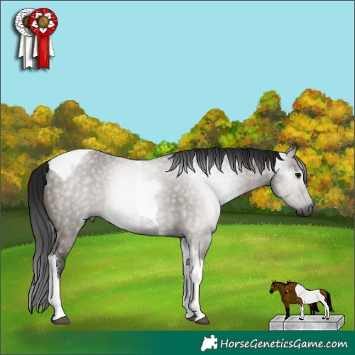 Horse Color:Gray Grullo Tobiano Rabicano 
