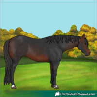 Horse Color:Brown 