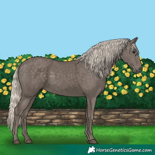 Horse Color:Silver Smoky Black 