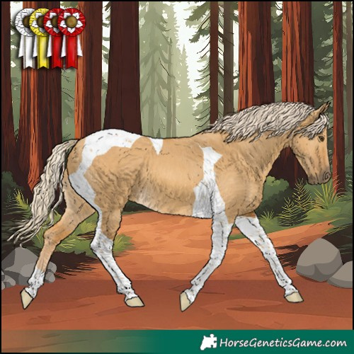 Horse Color:Palomino Dun Tobiano