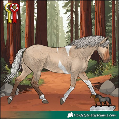 Horse Color:Silver Bay Dun Tobiano 