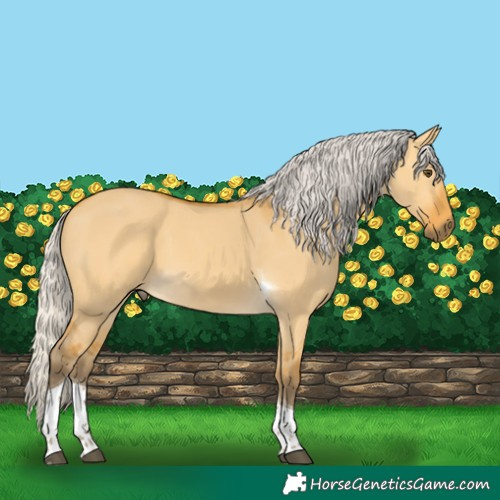 Horse Color:Silver Buckskin Dun Tobiano 