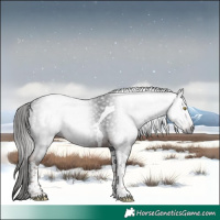 Horse Color:Gray Liver Chestnut Tobiano 