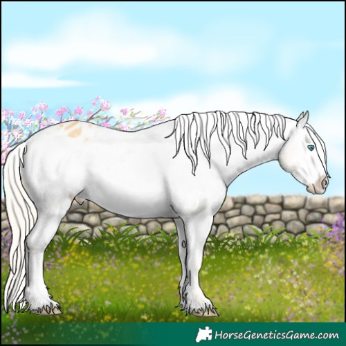 Horse Color:Palomino Frame Varnish Rabicano