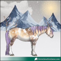 Horse Color:Painted White Spotted Chocolate Palomino Ice Onyx Rabicano 