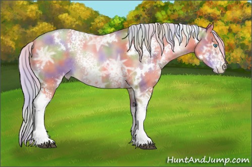 Horse Color:Nacre White Spotted Silver Buckskin Ice Pearl Rabicano 