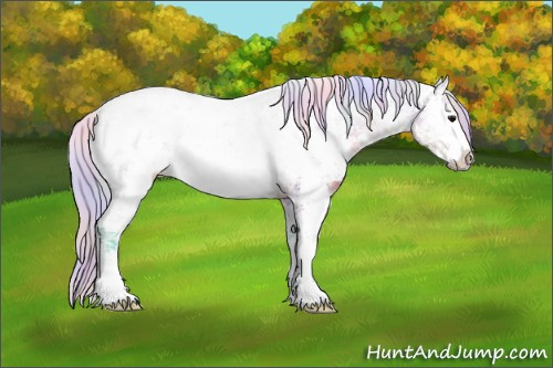Horse Color:Nacre Watercolor White Spotted Silver Buckskin Ice Rabicano 