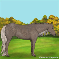 Horse Color:Silver Black 