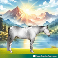 Horse Color:Gray Liver Chestnut Tobiano 