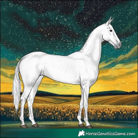 Horse Color:Gray Smoky Black