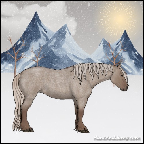 Horse Color:Silver Grullo Roan 