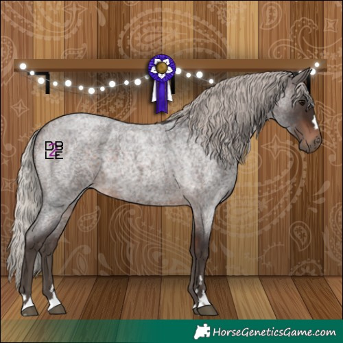 Horse Color:Silver Bay Roan 