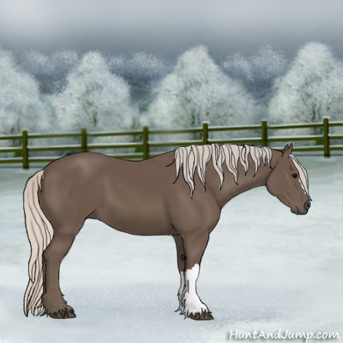 Horse Color:Silver Black 