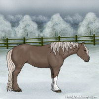 Horse Color:Silver Black 