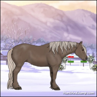 Horse Color:Silver Black 