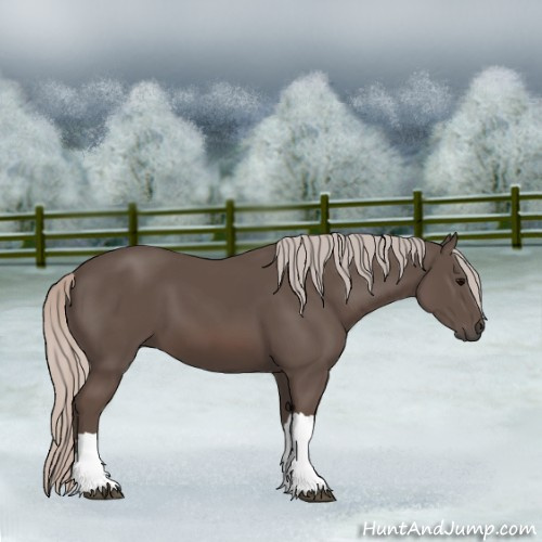 Horse Color:Silver Black