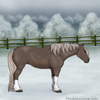 Horse Color:Silver Black 