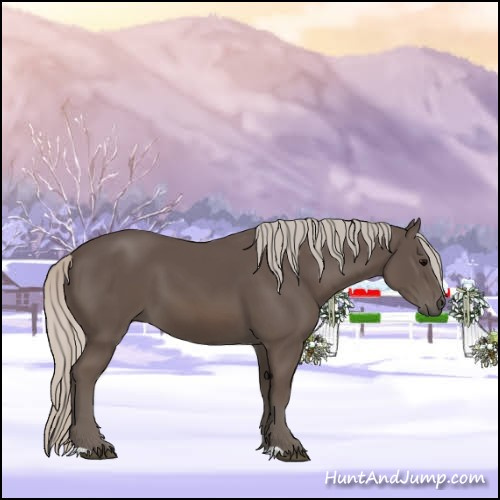 Horse Color:Silver Black 