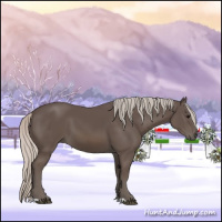 Horse Color:Silver Black 