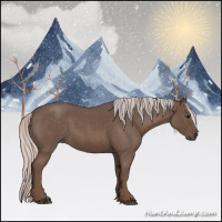 Horse Color:Silver Blue Roan 