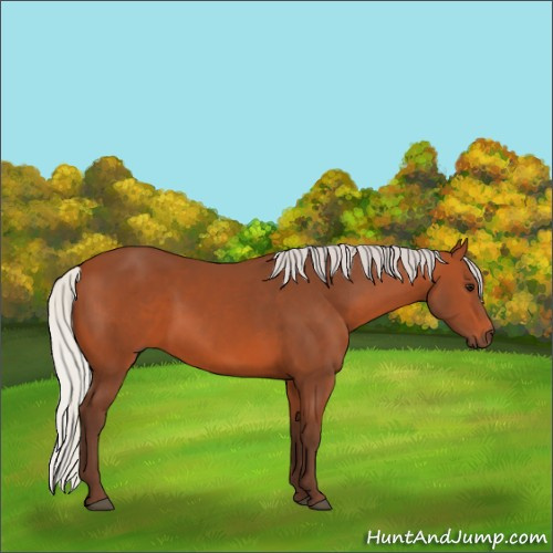 Horse Color:Silver Bay
