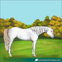 Horse Color:Gray Liver Chestnut Tobiano 