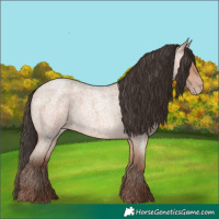 Horse Color:Amber Champagne Roan 