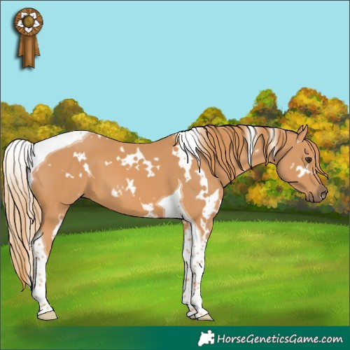 Horse Color:White Spotted Chestnut Tobiano 