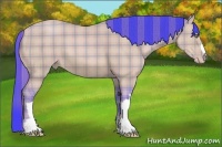 Horse Color:Watercolor Plaid  Amber Champagne 