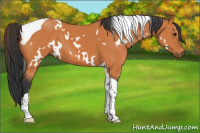 Horse Color:White Spotted Bay Tobiano 