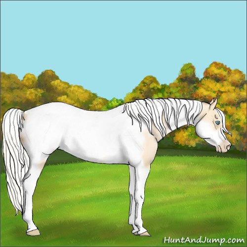 Horse Color:White Spotted Silver Buckskin Pearl Dun Tobiano Frame 