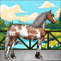 Horse Color:White Spotted Silver Bay 