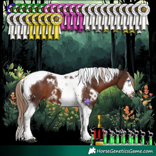 Horse Color:White Spotted Liver Chestnut Splash Tobiano Frame 