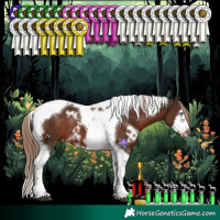 Horse Color:White Spotted Liver Chestnut Splash Tobiano Frame