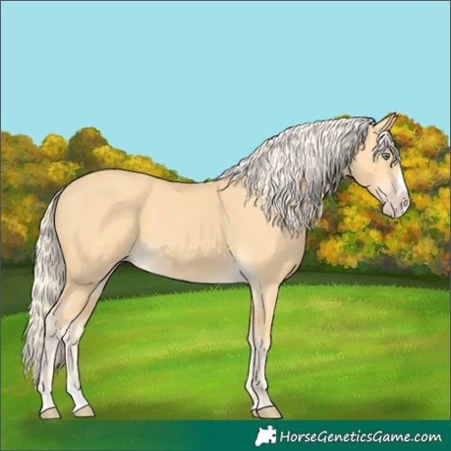 Horse Color:Gold Cream Champagne Splash 