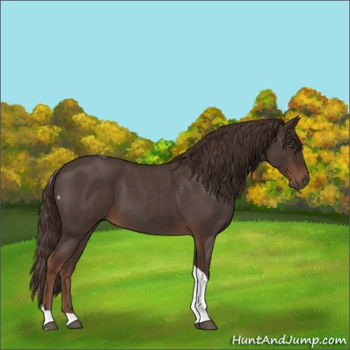 Horse Color:Liver Red Roan Tobiano