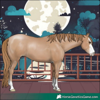 Horse Color:Black Pearl Sabino