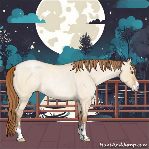 Horse Color:Bay Roan Pearl Dun Sabino Rabicano