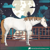 Horse Color:Buckskin Roan Pearl Dun Sabino Rabicano