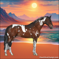 Horse Color:White Spotted Bay Tobiano 