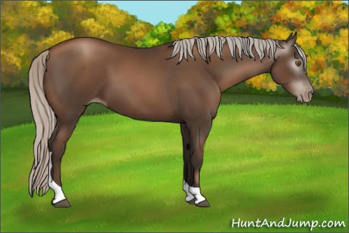 Horse Color:Gray Silver Black Pearl Tobiano 