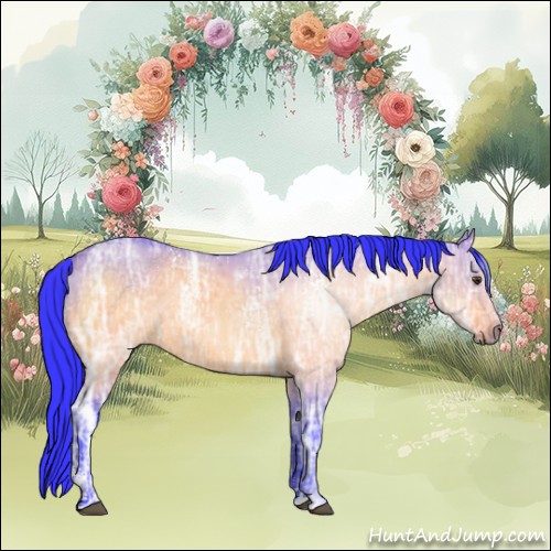 Horse Color:Watercolor White Spotted Brown Ice Dun Sabino Rabicano 