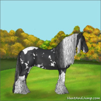 Horse Color:White Spotted Black Tobiano
