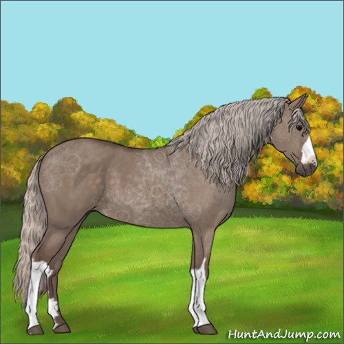 Horse Color:Silver Grullo 